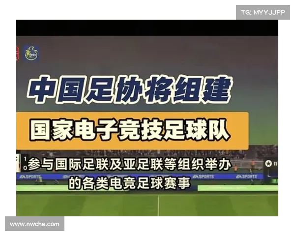 中国足协与地方政府携手合作推动足球普及与地方体育发展双赢新局面 中国足协与地方政府携手合作推动足球普及与地方体育发展双赢新局面