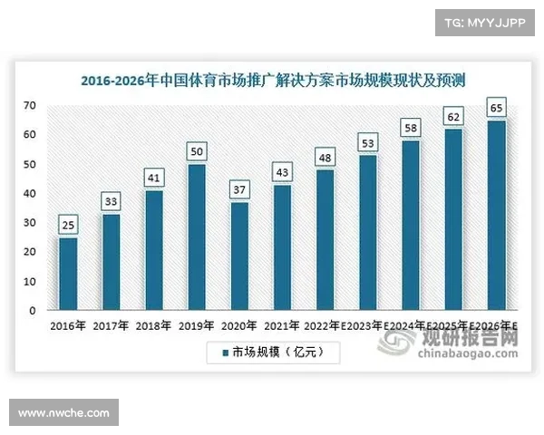推动体育培训市场规范化发展 助力行业健康成长与人才培养 推动体育培训市场规范化发展 助力行业健康成长与人才培养