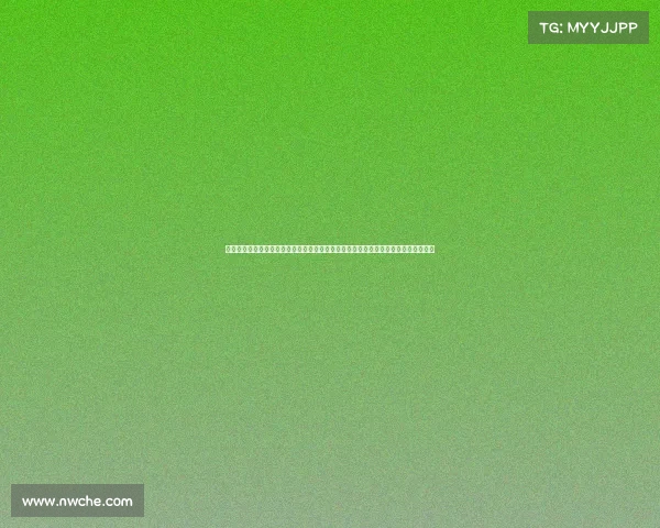 梅州客家教练组工作人员向主裁判王迪下跪引发广泛热议足球赛场暴力与争议再度升级 梅州客家教练组工作人员向主裁判王迪下跪引发广泛热议足球赛场暴力与争议再度升级